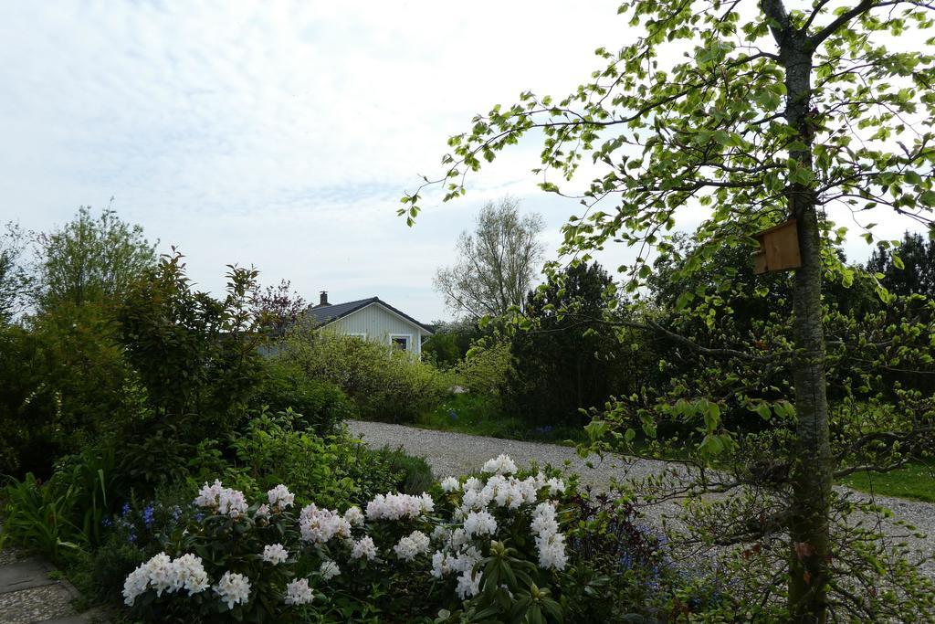 Ferienhaus Silbermöwe Kappeln Exterior foto